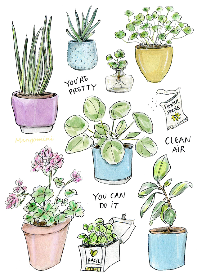 Plant appreciation day Mangomini