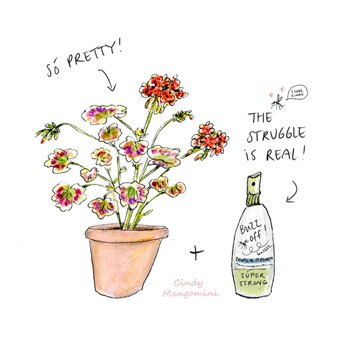 Tuesday Two 7 Geranium Mosquito Mangomini